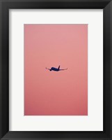 Framed Pink Flight