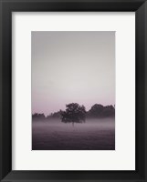Framed Purple Light 2