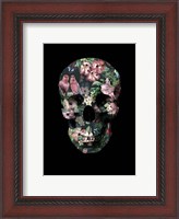Framed Tropic Skull
