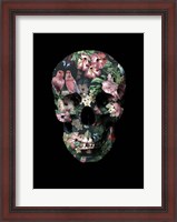 Framed Tropic Skull
