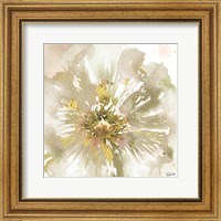 Framed Neutral Watercolor Poppy Close Up I