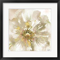 Neutral Watercolor Poppy Close Up I Framed Print