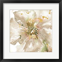 Framed 'Neutral Watercolor Poppy Close Up II' border=