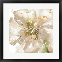 Framed Neutral Watercolor Poppy Close Up II