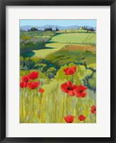 Framed Field of Poppies