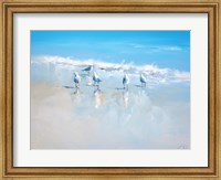 Framed Sorrento Gulls