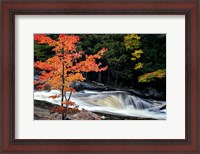 Framed Autumn, Lower Rosseau Falls