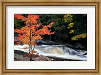 Framed Autumn, Lower Rosseau Falls