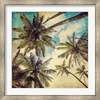 Framed Kauai Island Palms