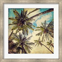 Framed Kauai Island Palms