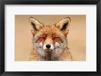 Framed Zen Fox Red Portrait