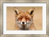 Framed Zen Fox Red Portrait