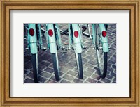 Framed Bicycle Line Up 1
