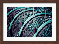 Framed Bicycle Line Up 2