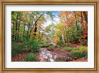 Framed Autumn at Hopkins Pond