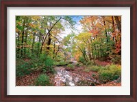 Framed Autumn at Hopkins Pond