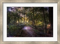 Framed Beyond the Wooden Bridge