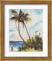 Framed Fishing under Palms