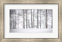 Framed Behind Cloister Doors