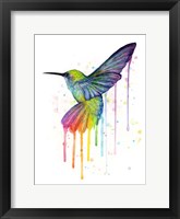 Framed Rainbow Hummingbird