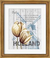 Framed Holland Tulips