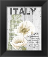 Framed 'Italy Poppies' border=