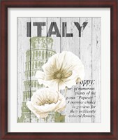 Framed Italy Poppies