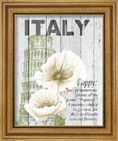 Framed 'Italy Poppies' border=