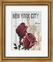 Framed New York Roses