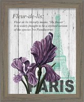 Framed 'Paris Iris' border=