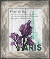 Framed 'Paris Iris' border=
