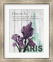 Framed Paris Iris