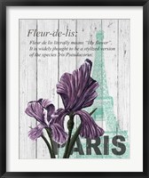 Framed Paris Iris