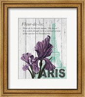 Framed 'Paris Iris' border=