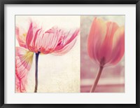 Framed Poppy & Tulip