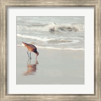 Framed Soft Sea