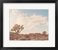 Framed Sunshine & Joshua Trees