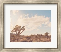 Framed Sunshine & Joshua Trees