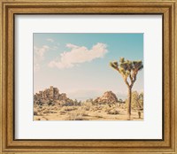 Framed Winter in the Desert No. 3