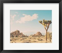 Framed Winter in the Desert No. 3