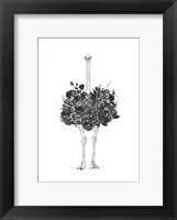 Framed Floral Ostrich