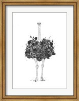 Framed Floral Ostrich