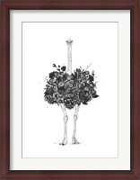 Framed Floral Ostrich