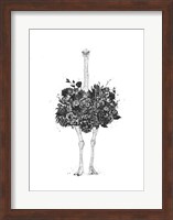 Framed Floral Ostrich