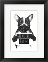 Framed Rebel Dog