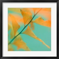 Framed Fern Dance 2