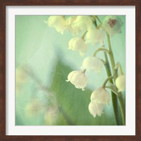 Framed Lily of the Valley