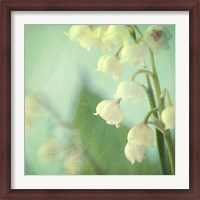 Framed Lily of the Valley