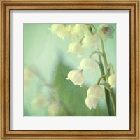 Framed Lily of the Valley