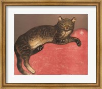 Framed Cat on a Cushion